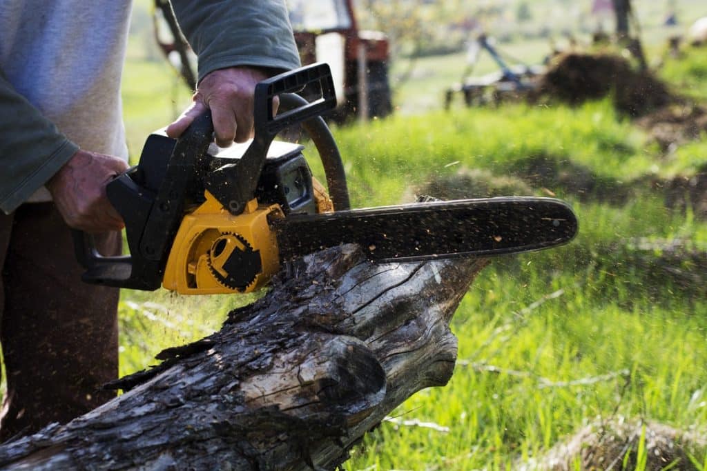 Man cuts a fallen tree