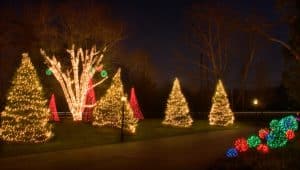 House with Christmas lights